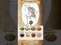 Plant Based Calcium &amp; Magnesium for Bones🦴Prevent Bone Loss with These  #calciumrichfoods#weightloss