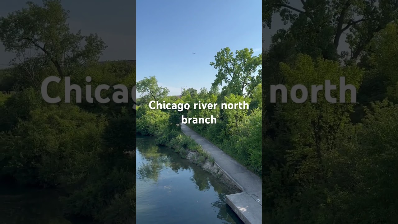 Chicago River North Branch - 