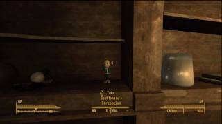 Fallout 3 Bobblehead: Perception | WikiGameGuides
