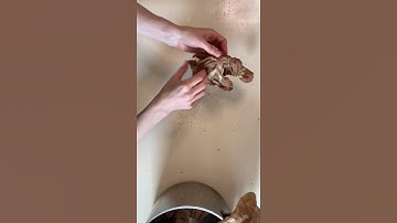 Natural Fabric Dyeing with Tea #shorts