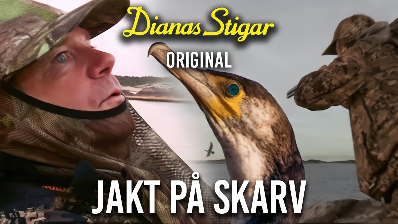 Jakt på skarv (Jaktlust extended version)