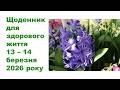 Щоденник важливих справ на городі в садочку на квітнику для здоров я 13 14 березня 2026 року