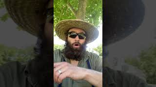 Composting Human Waste