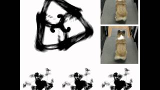 Bubble Butt CORGI STYLE