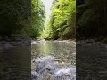 【自然の音 - 3min】水面から聞こえるせせらぎ - 1