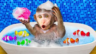 Baby Monkey Chu Chu Bathing In Bathtub And Eating Watermelon With Puppies In The Garden