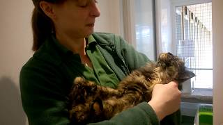 Wp 20170602 09 54 02 Pro1