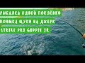 Рыбалка одной поклёвки. Поимка щуки на джерк Strike Pro Guppie JR