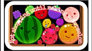 |Suika pang pang Game| Not stopping until I Made a water melon (Google play game) #gaming screenshot 2