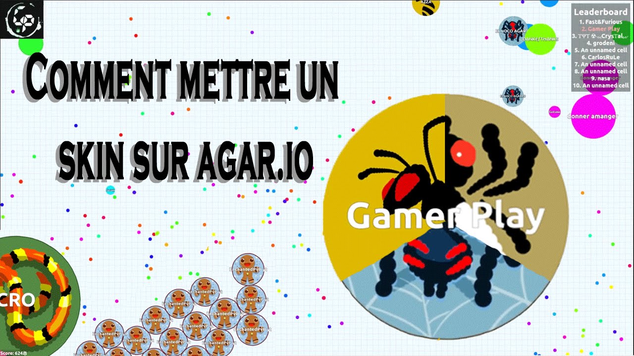 Comment Faire Pour Avoir Un Skin Sur Agar.io