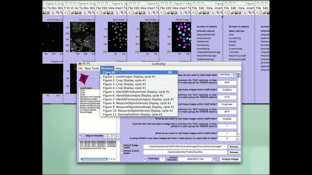 average image intensity cellprofiler