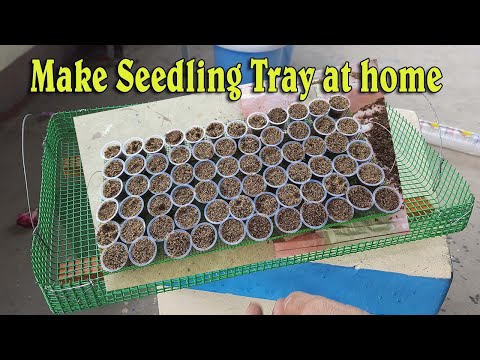 homemade seedling tray