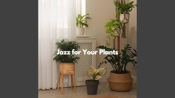 Remarkable Backdrops for Playing Flashbacks