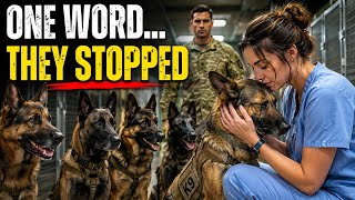 Full 5 Military K9s Went Out of Control—Then a Quiet Nurse Whispered One Word Guide