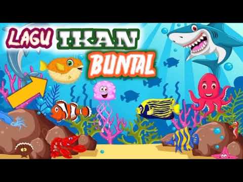 Lagu Ikan Buntal || Tema Binatang