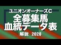 ユニオンオーナーズクラブ2020　全募集馬血統データ一覧　【計算する血統】No.57