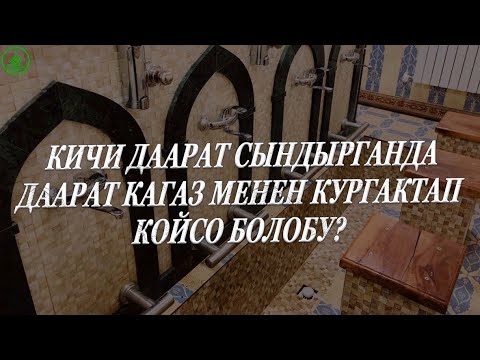 Video: Кичи тейлөөчү деген эмне?