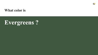 Evergreens color #405840 hex color - Green color - Warm color 405840