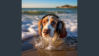 Dogs Energetic Ocean Rhythm