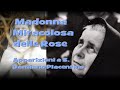 La Madonna Miracolosa delle Rose  - Apparizioni a S  Damiano Piacentino