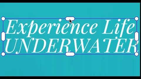 Skia - text resizing isn