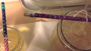 Rock Candy Experiment Time Lapse