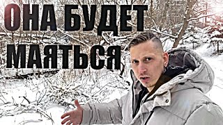видео: Когда БЫВШАЯ НАЧНЕТ СТРАДАТЬ и СХОДИТЬ С УМА? Психолог даёт возможность лучше понять БЫВШУЮ. картинка: Когда БЫВШАЯ НАЧНЕТ СТРАДАТЬ и СХОДИТЬ С УМА? Психолог даёт возможность лучше понять БЫВШУЮ.