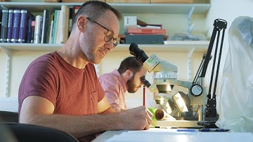 Archaeology Laboratories at the University of Leicester