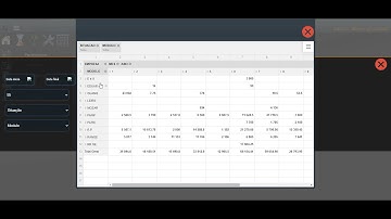 Pivot table com WEBDEV 26