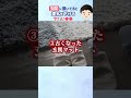 実は玄関に置いてると運気ダダ下がりのNGアイテム5選!#shorts
