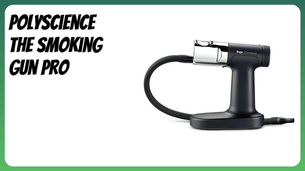 BEWERTUNG (2025): PolyScience The Smoking Gun Pro. Infos