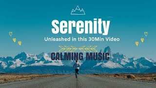 🌊 Serenity Unleashed: 30 Minutes of Blissful Ocean Views 🌲 Calming Instrumental with Forest Sounds
