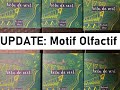 Motif Olfactif Update - Vêtu de vert!