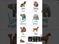 Animals Name English Vocabulary #animals education #shortsfeedshorts feed #rmlearning #animalsvocab