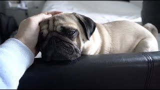 Time For a Rest