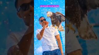 Me & The Eagle 🦅🤯 | Like & Subscribe 2 See Us Again! #trending #viral #aishorts #funny #shorts #fyp