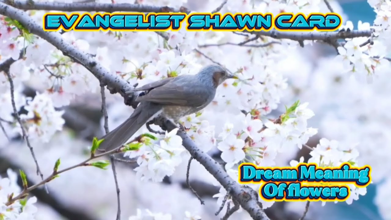 Dream interpretation ; Dream meaning of flowers or a garden. 