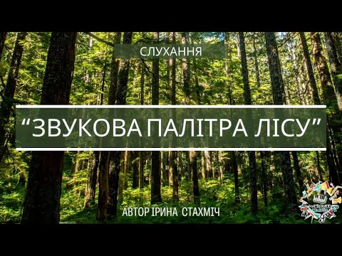 Звукова палітра лісу Спів птахів Шум лісу Звуки води річки Релакс Слухання і вслухання