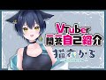 【自己紹介】Vtuber一問一答自己紹介【猫衣がる/新人Vtuber】