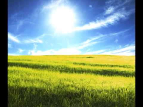 Hirasawa Susumu 平沢進 - 庭師 Niwashi KING II