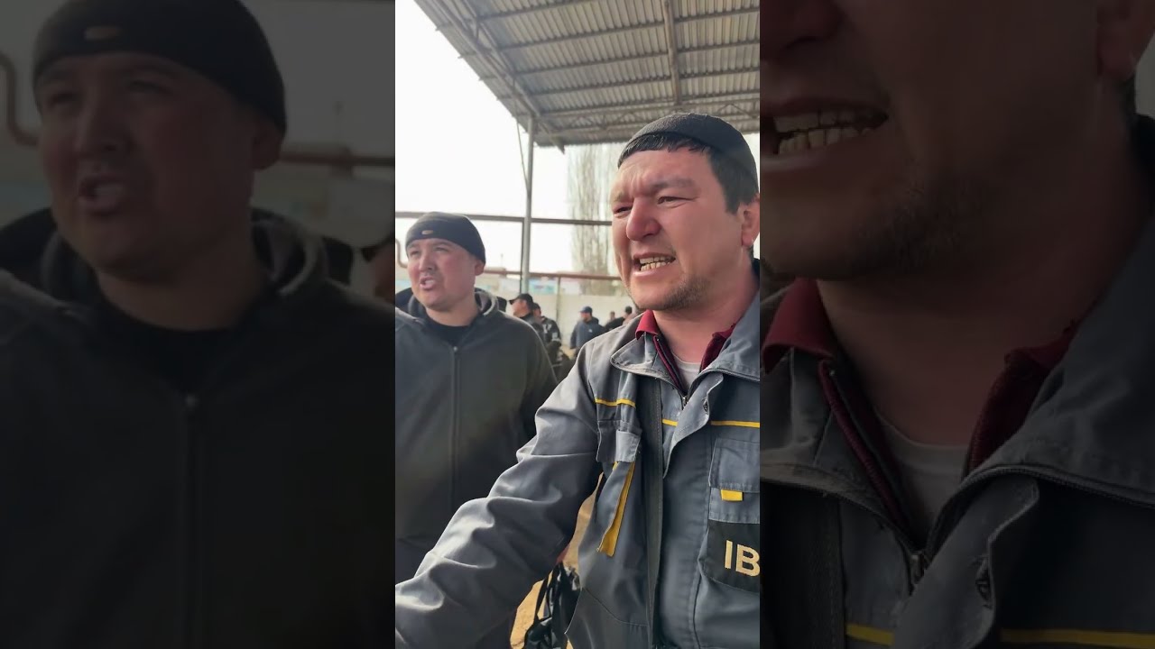 BOZOR YANGILIKLARI  в прямом эфире!