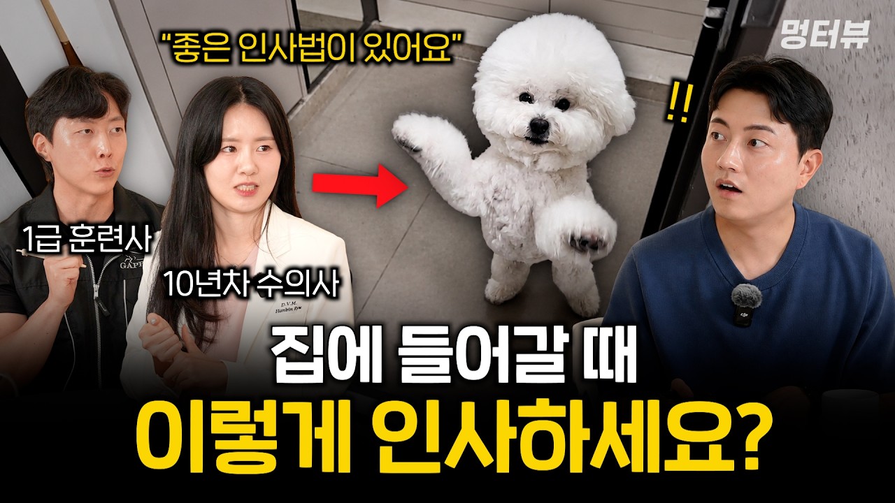 99% 보호자가 강아지에게 잘못 해주고 있는 것들 | 멍터뷰 ep.103