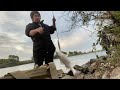 Sacramento River striper fishing nuv ntses