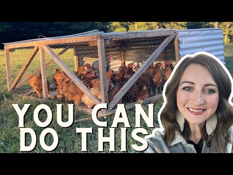 Raising Your Own Meat Birds for Beginners | Chicken Tractor