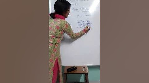 bsc 1st yr botany  paper 2nd albugo asexual 23 07 2020