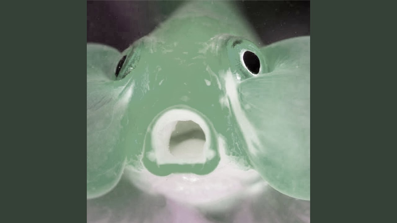 Watch Chicfish on YouTube Watch Chicfish on YouTube