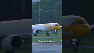 SCOOT A321NEO landing at Singapore Changi Airport #shorts #aviation #scoot #a321 #landing #singapore