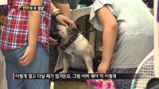 [SBS 현장21] 20130709 #7(3)