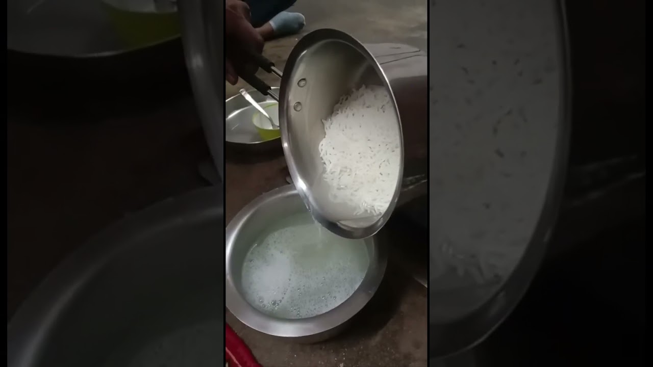 Basmati Rice 1509 New Crop Cooking 23.8.23