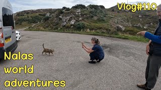 NALA in Durness 😻 Vlog #110